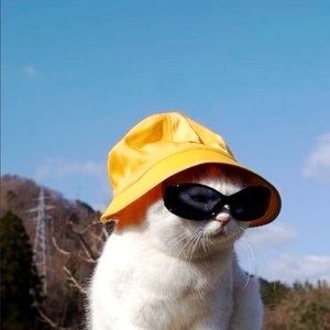 Meet your Posher, Fatima